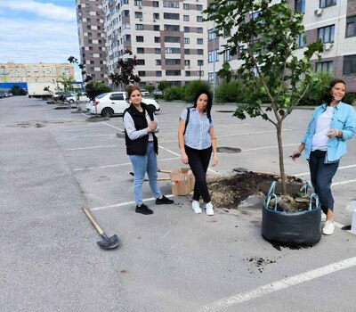 Посадка деревьев в ЖК Кристалл