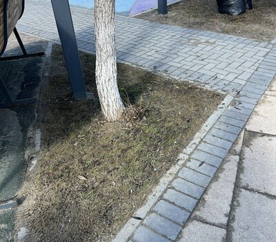 Субботник в ЖК &quot;Кристалл&quot;