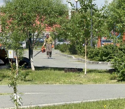 Полив газонов 29.05.2025 совместно с жителями Кристалл